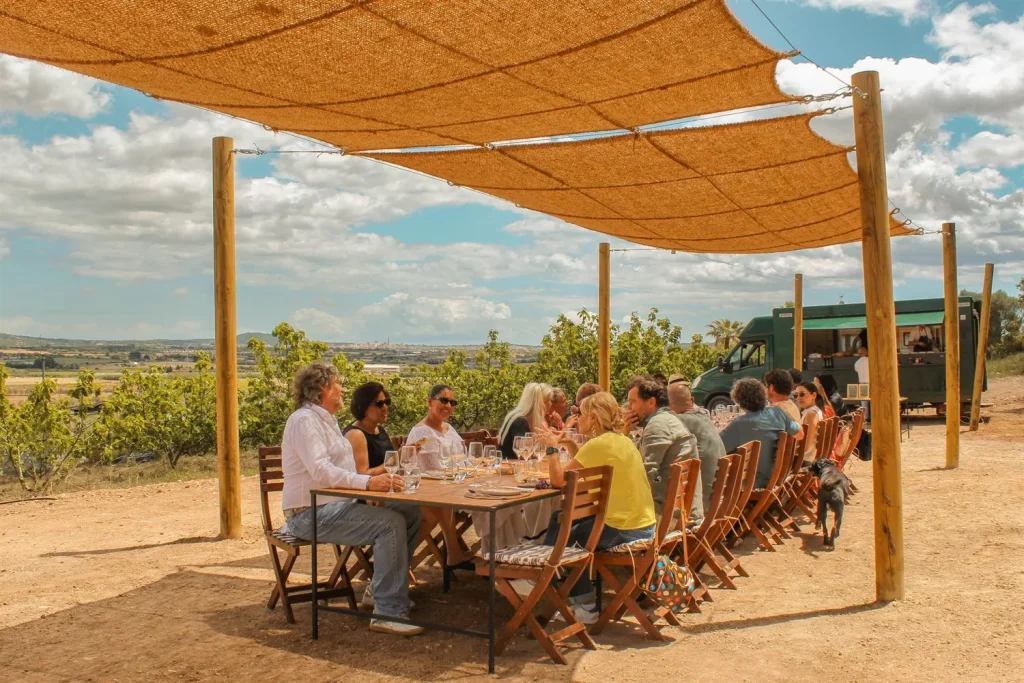 Dinner guests gathered around a long table in the heart of the Mallorcan countryside