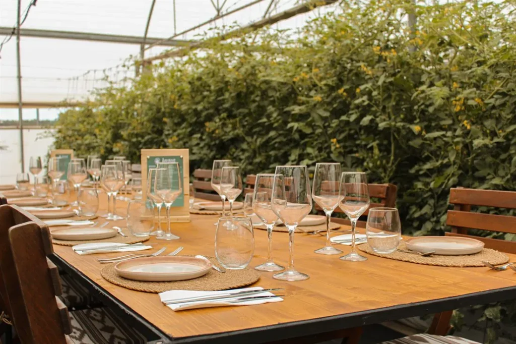 Table set up in a farm setting for a group in Mallorca
