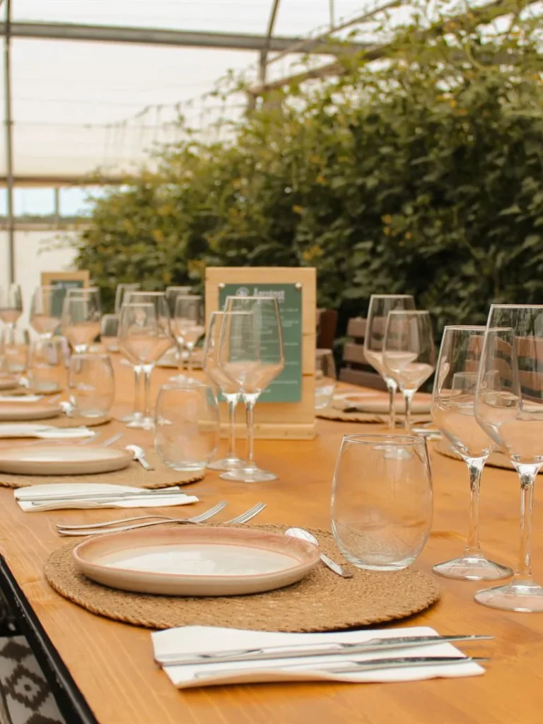A table set up inside the greenhouse among the tomato plants, before a daytime meal