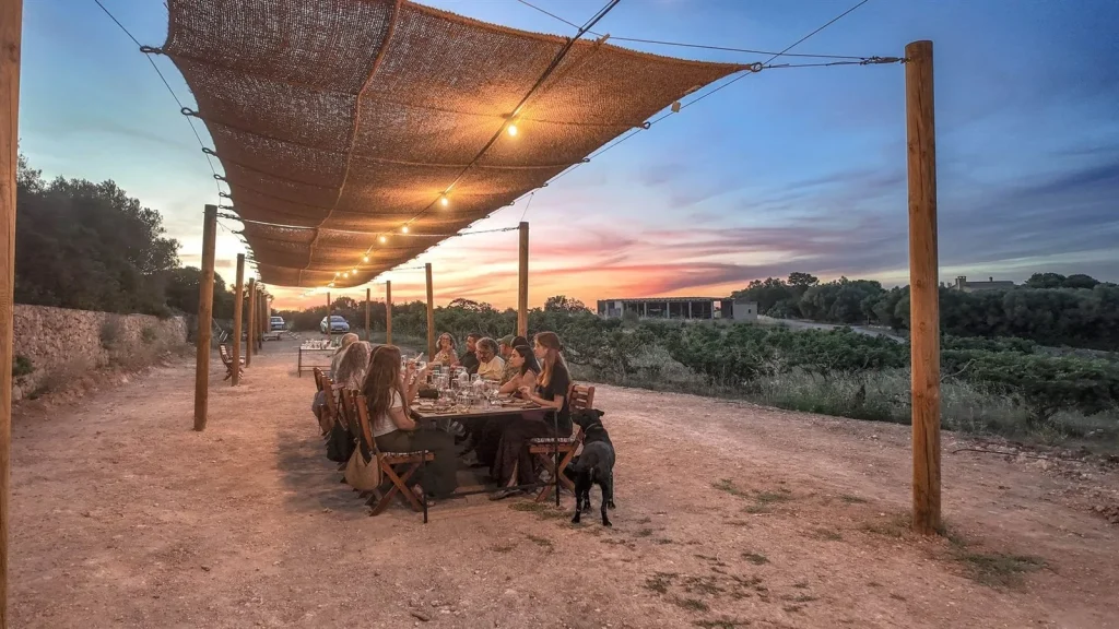 Dinner at sunset at a long table under an esparto thatch canopy among the crops