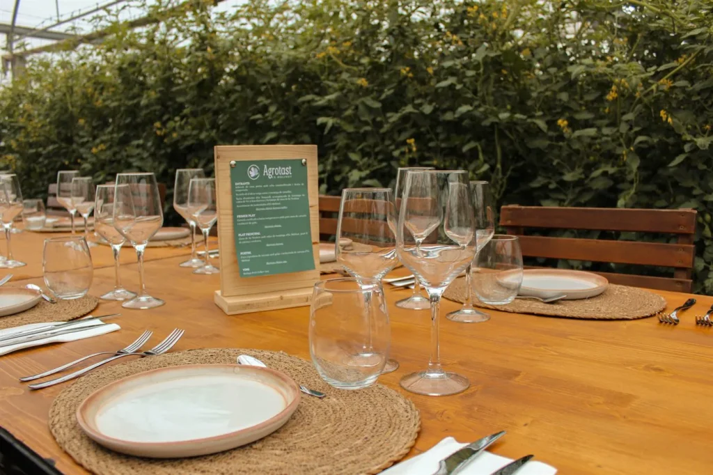 A table set up in a greenhouse among the tomato plants, ready for a group