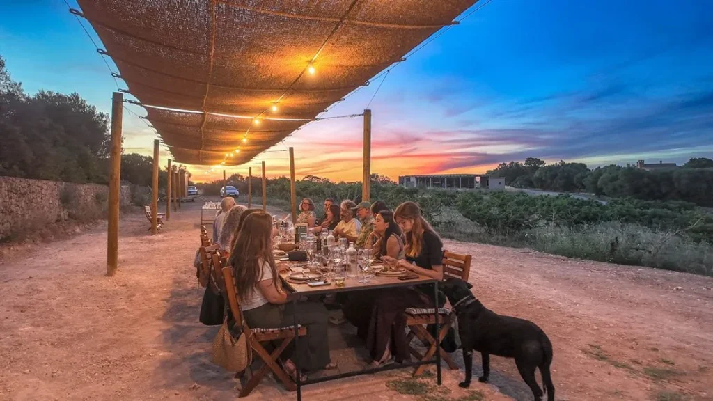Dinner guests sharing a long table at sunset among the crops in Mallorca